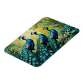 ジャングルの森の中のピーコックスのトリオ マグネット (左側)