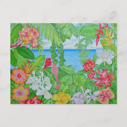 ジャングルの海 ポストカード (正面)