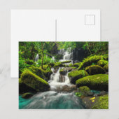 ジャングルの滝 | Phu Tub Berk Mountain ポストカード (正面/裏面)