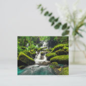 ジャングルの滝 | Phu Tub Berk Mountain ポストカード (スタンド正面)