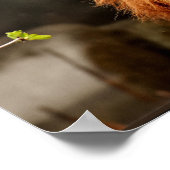 ジャングルの王ライオン ポスター (角)