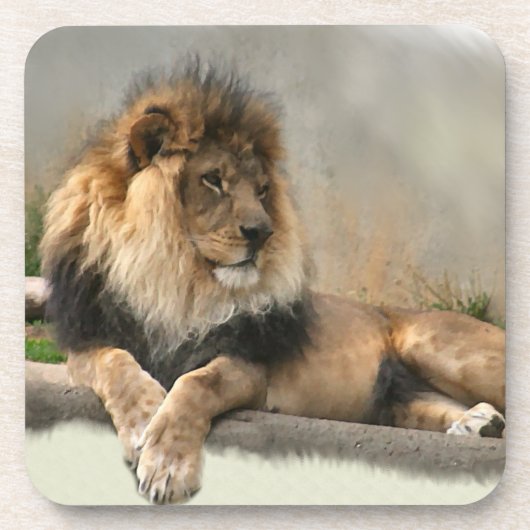 ジャングルの王様を愛するライオン コースター (正面)