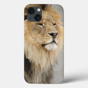 ジャングルの王様を愛するライオン iPhone 13ケース