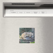 ジャングルの王様ライオン マグネット (インサイチュ (食洗機))