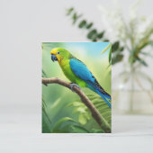 ジャングルの美しいインコ ポストカード (スタンド正面)