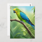 ジャングルの美しいインコ ポストカード (正面/裏面)