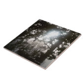 ジャングルの群葉を通した朝の日光 タイル (側面)