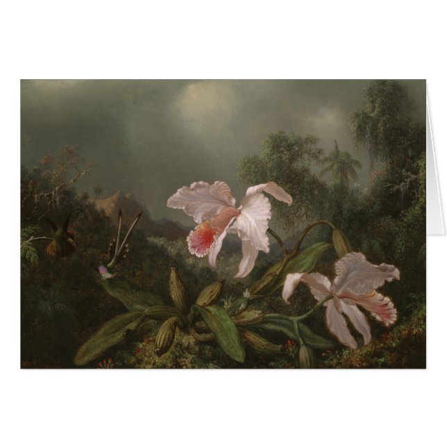 ジャングルの蘭およびハチドリ (正面横)