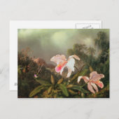 ジャングルの蘭とハミングバード， 1872 ポストカード (正面/裏面)