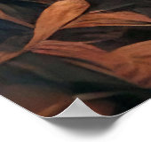 ジャングルの視線 ポスター (角)