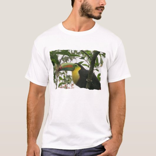 ジャングルのToucan Tシャツ (正面)