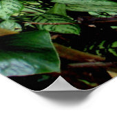 ジャングルへようこそ ポスター (角)