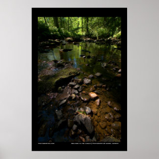 ジャングルへようこそ ポスター