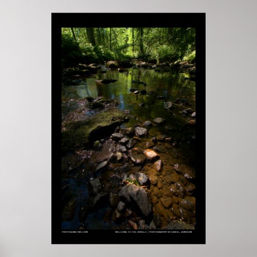 ジャングルへようこそ ポスター (正面)