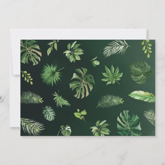 ジャングルアニマルズサファリグリーン誕生日写真 サンキューカード (裏面)