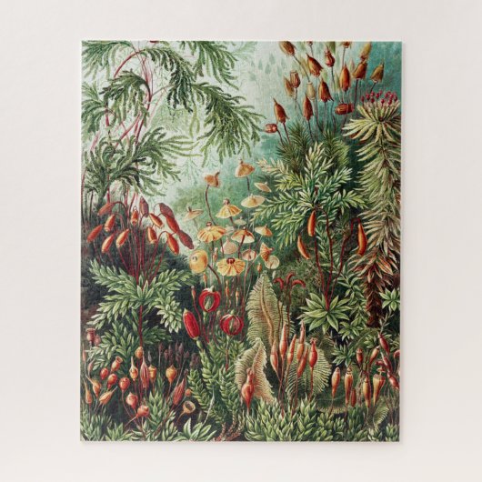 ジャングルウィルダネスパズル ジグソーパズル (縦)