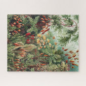 ジャングルウィルダネスパズル ジグソーパズル (横)