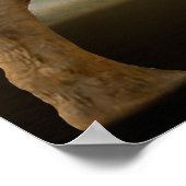 ジャングルエレファントホールディングフラワーポスター ポスター (角)