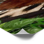 ジャングルガール顔オフ ポスター (角)