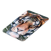 ジャングルキャット – Tiger マグネット (左側)