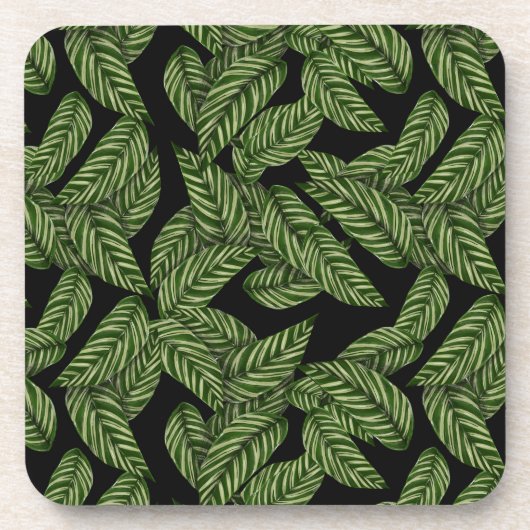 ジャングルコ葉ースターセット コースター (正面)