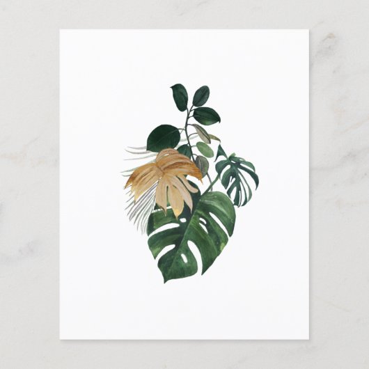 ジャングルサファリアフリカの赤ちゃん動物熱帯予算 (裏面)