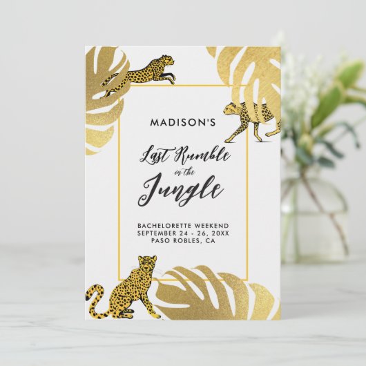 ジャングルサファリチータ金ゴールドバチェロレッテの日程 招待状 (スタンド正面)