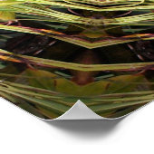 ジャングルシールド ポスター (角)