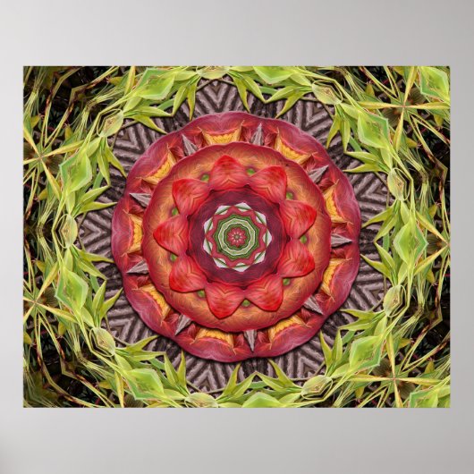 ジャングルシールド ポスター (正面)