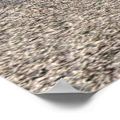 ジャングルジャミー ポスター (角)