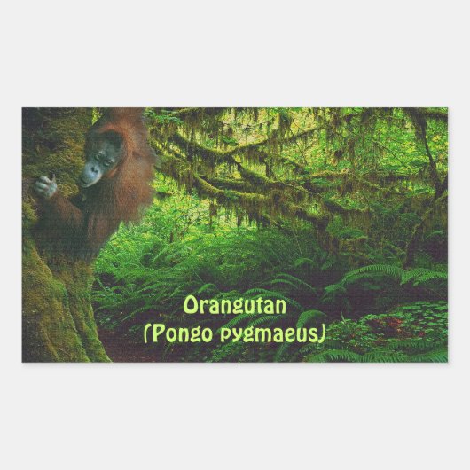 ジャングルステッ遊カーに可愛いオランウータン 長方形シール (正面)