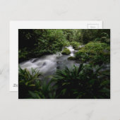 ジャングルストリームリバーランドスケープアマゾン ポストカード (正面/裏面)
