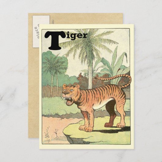 ジャングルタイガー動物アルファベット ポストカード (正面/裏面)