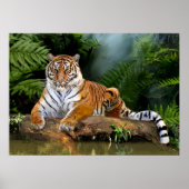 ジャングルタイガー ポスター (正面)