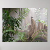 ジャングルダック ポスター (正面)