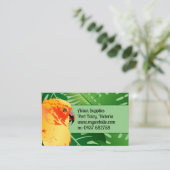 ジャングルチュアオレンジオウム葉グリーンアヴィア 名刺 (スタンド正面)