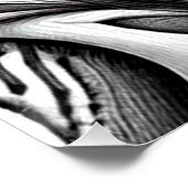 ジャングルトゥーカン ポスター (コーナー)