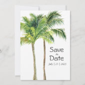 ジャングルパームの水色のトロピカル (裏面)