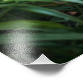 ジャングルヒョウ フォトプリント            (角)