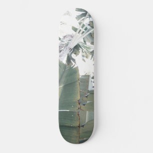 ジャングルフィ#1ン#tropical #wall #art スケートボード