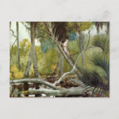 ジャングルフロリダウィンスローホーマーで ポストカード (正面)
