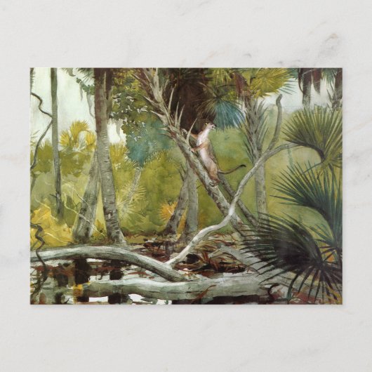 ジャングルフロリダウィンスローホーマーで ポストカード (正面)