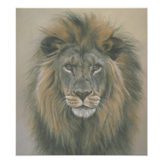 ジャングルライオンのポスターの主 フォトプリント           