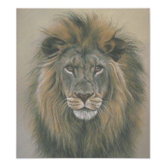 ジャングルライオンのポスターの主 フォトプリント            (正面)