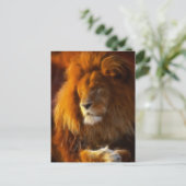 ジャングルライオン二世の王、太陽を浴びる ポストカード (スタンド正面)