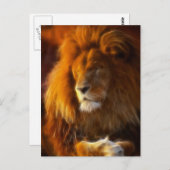 ジャングルライオン二世の王、太陽を浴びる ポストカード (正面/裏面)