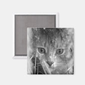 ジャングルレジェンドB&W マグネット (正面/裏面)