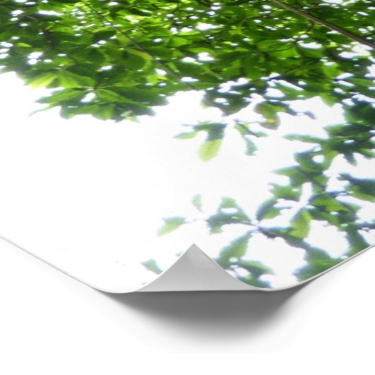 ジャングルロープ熱帯雨林写真 ポスター (角)