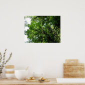 ジャングルロープ熱帯雨林写真 ポスター (キッチン)