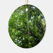 ジャングルロープ雨林写真 セラミックオーナメント (左)
